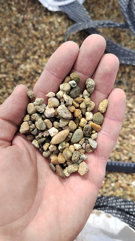 Kamenclub.ru: Галька окат (серо-желтая) фр.5-10 мм. купить  в Балашихе галька речная рыжий, желтый, рыжий, серо-желтый речная окатанная галька декоративная 5000 руб/т   фото КАМЕНЬ КЛУБ