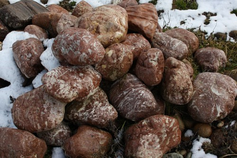 Kamenclub.ru: Розовый валунчик фр.100-300 мм.  купить в Балашихе крупный природный камень розовый, серый молочный красный речной галечник природный 7850 руб/т   фото КАМЕНЬ КЛУБ